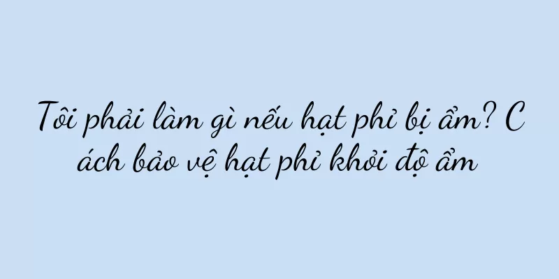 Tôi phải làm gì nếu hạt phỉ bị ẩm? Cách bảo vệ hạt phỉ khỏi độ ẩm