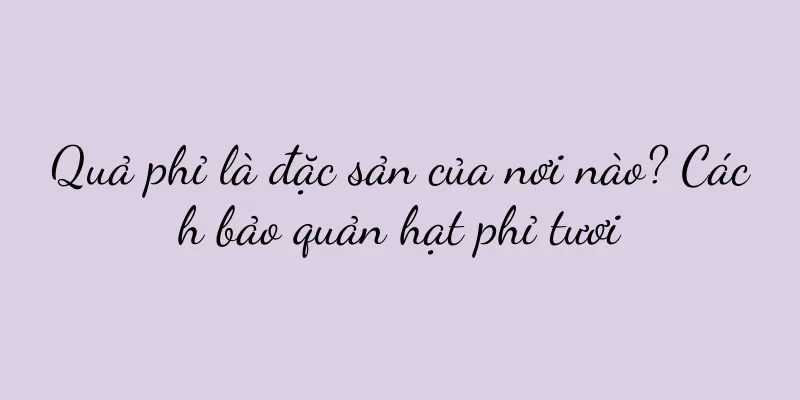 Quả phỉ là đặc sản của nơi nào? Cách bảo quản hạt phỉ tươi