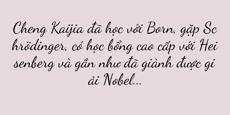 Cheng Kaijia đã học với Born, gặp Schrödinger, có học bổng cao cấp với Heisenberg và gần như đã giành được giải Nobel...