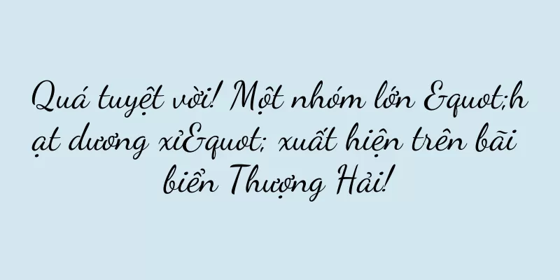 Quá tuyệt vời! Một nhóm lớn "hạt dương xỉ" xuất hiện trên bãi biển Thượng Hải!