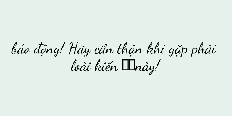 báo động! Hãy cẩn thận khi gặp phải loài kiến ​​này!
