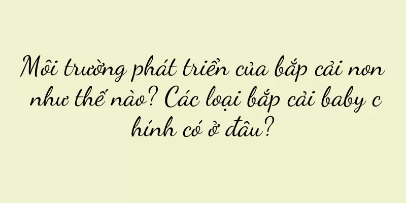 Môi trường phát triển của bắp cải non như thế nào? Các loại bắp cải baby chính có ở đâu?