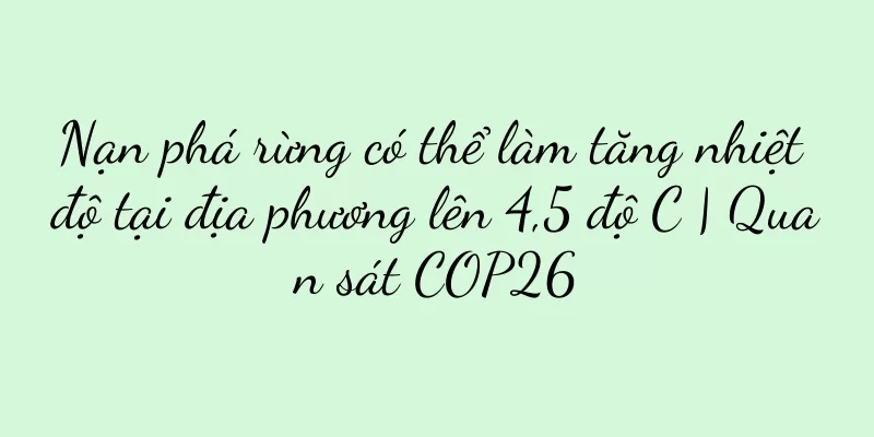 Nạn phá rừng có thể làm tăng nhiệt độ tại địa phương lên 4,5 độ C | Quan sát COP26
