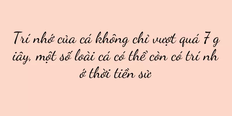 Trí nhớ của cá không chỉ vượt quá 7 giây, một số loài cá có thể còn có trí nhớ thời tiền sử