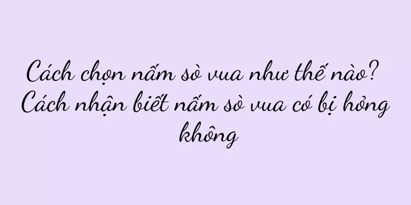 Cách chọn nấm sò vua như thế nào? Cách nhận biết nấm sò vua có bị hỏng không