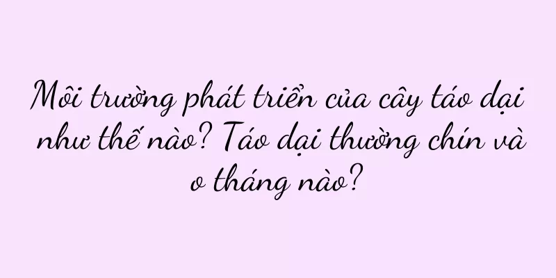 Môi trường phát triển của cây táo dại như thế nào? Táo dại thường chín vào tháng nào?