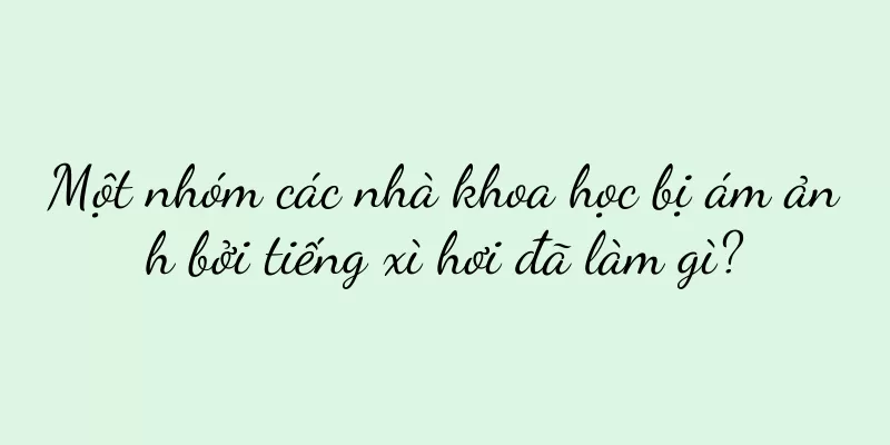 Một nhóm các nhà khoa học bị ám ảnh bởi tiếng xì hơi đã làm gì?