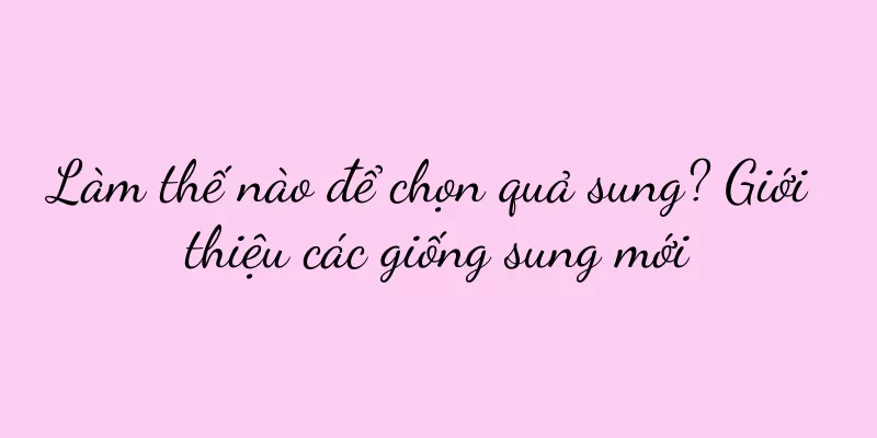 Làm thế nào để chọn quả sung? Giới thiệu các giống sung mới
