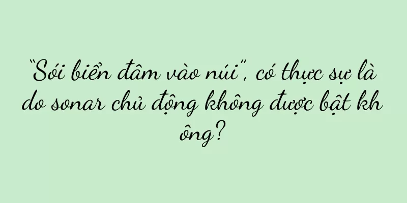 “Sói biển đâm vào núi”, có thực sự là do sonar chủ động không được bật không?