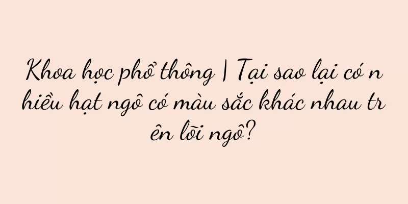 Khoa học phổ thông | Tại sao lại có nhiều hạt ngô có màu sắc khác nhau trên lõi ngô?