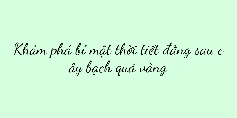 Khám phá bí mật thời tiết đằng sau cây bạch quả vàng