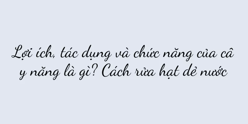 Lợi ích, tác dụng và chức năng của cây năng là gì? Cách rửa hạt dẻ nước