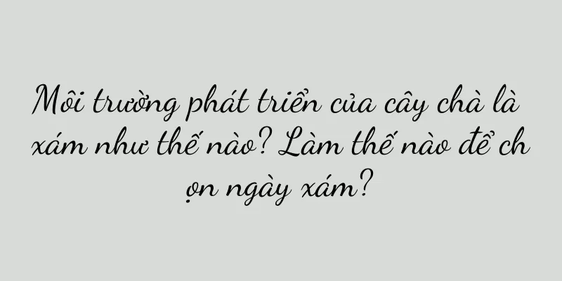 Môi trường phát triển của cây chà là xám như thế nào? Làm thế nào để chọn ngày xám?