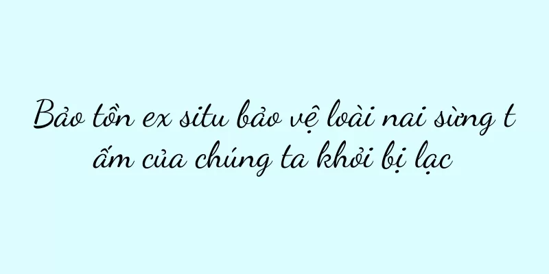 Bảo tồn ex situ bảo vệ loài nai sừng tấm của chúng ta khỏi bị lạc