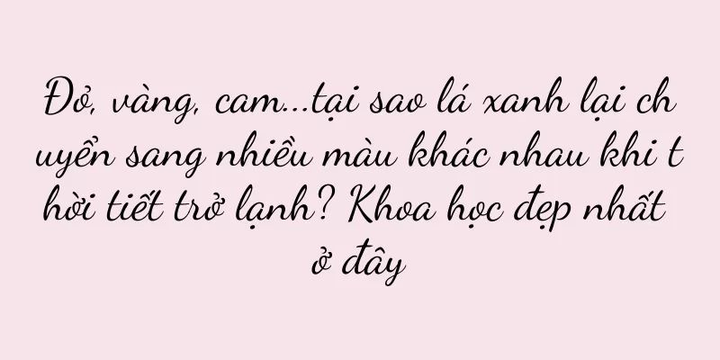 Đỏ, vàng, cam...tại sao lá xanh lại chuyển sang nhiều màu khác nhau khi thời tiết trở lạnh? Khoa học đẹp nhất ở đây
