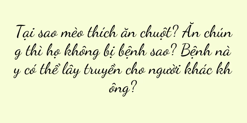 Tại sao mèo thích ăn chuột? Ăn chúng thì họ không bị bệnh sao? Bệnh này có thể lây truyền cho người khác không?