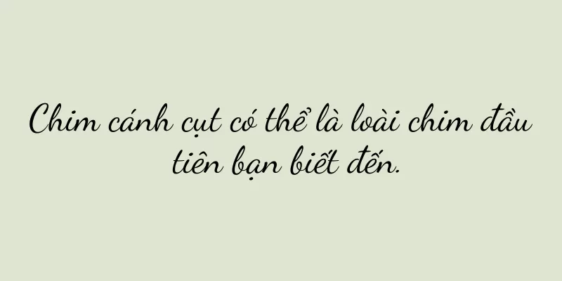 Chim cánh cụt có thể là loài chim đầu tiên bạn biết đến.