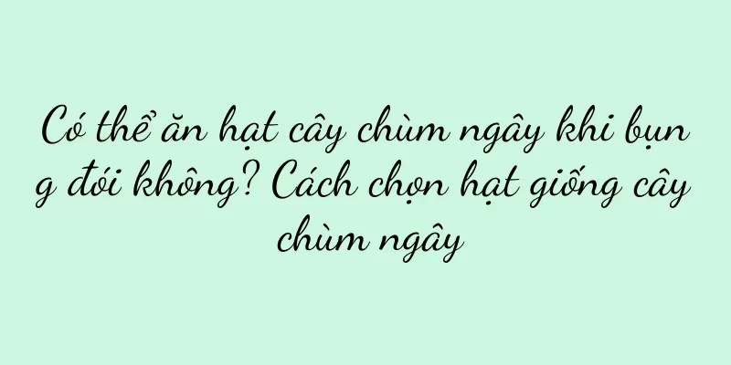 Có thể ăn hạt cây chùm ngây khi bụng đói không? Cách chọn hạt giống cây chùm ngây