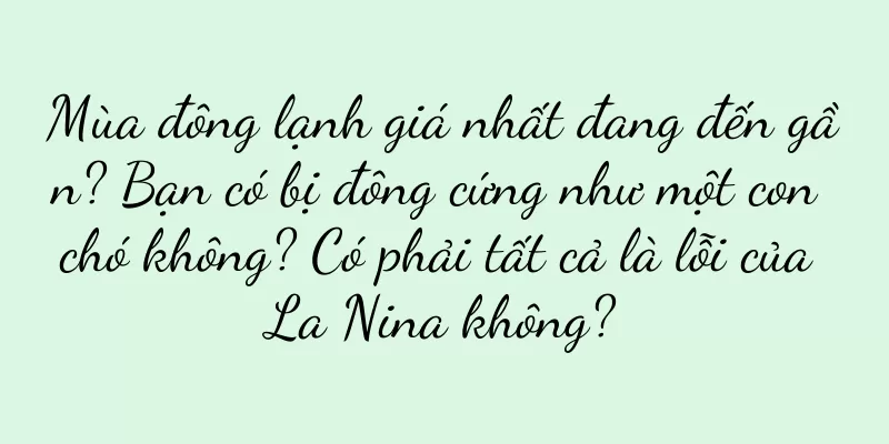 Mùa đông lạnh giá nhất đang đến gần? Bạn có bị đông cứng như một con chó không? Có phải tất cả là lỗi của La Nina không?