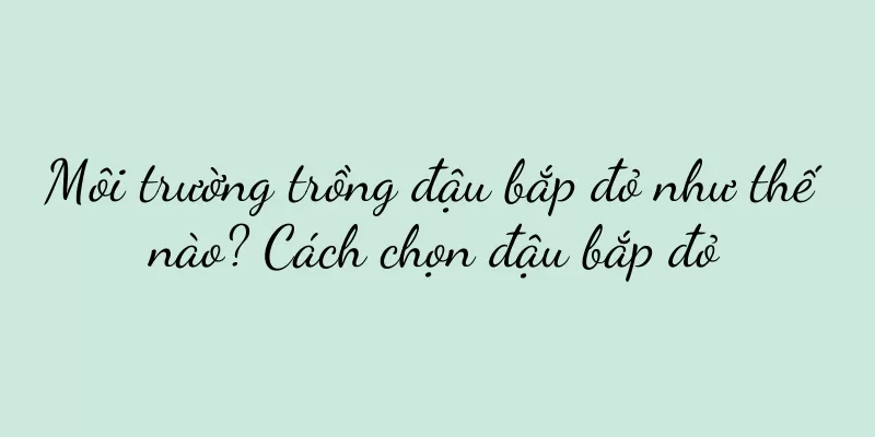 Môi trường trồng đậu bắp đỏ như thế nào? Cách chọn đậu bắp đỏ