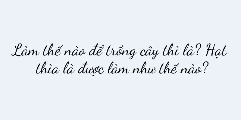 Làm thế nào để trồng cây thì là? Hạt thìa là được làm như thế nào?