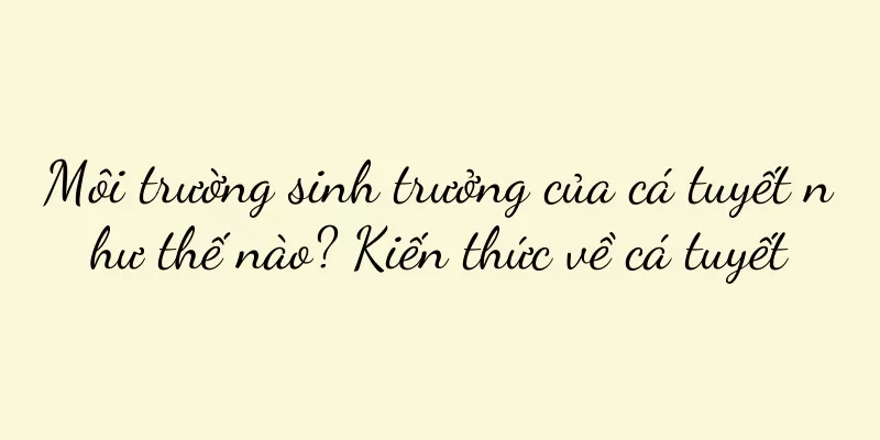 Môi trường sinh trưởng của cá tuyết như thế nào? Kiến thức về cá tuyết