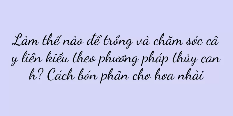 Làm thế nào để trồng và chăm sóc cây liên kiều theo phương pháp thủy canh? Cách bón phân cho hoa nhài