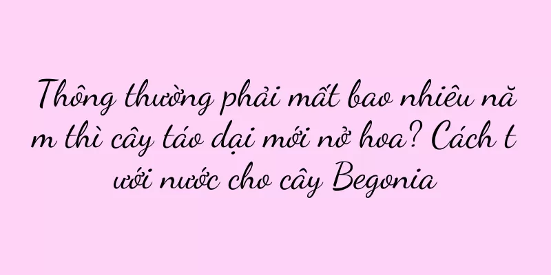 Thông thường phải mất bao nhiêu năm thì cây táo dại mới nở hoa? Cách tưới nước cho cây Begonia