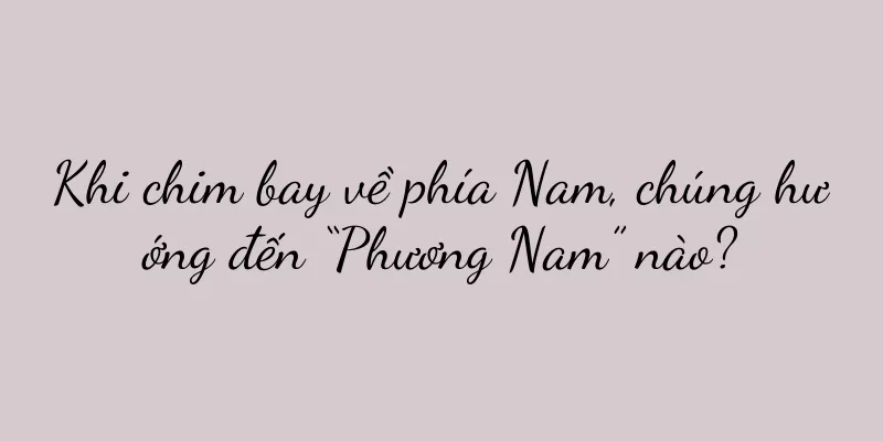 Khi chim bay về phía Nam, chúng hướng đến “Phương Nam” nào?