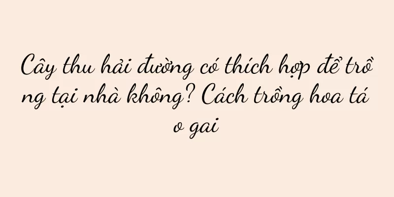 Cây thu hải đường có thích hợp để trồng tại nhà không? Cách trồng hoa táo gai