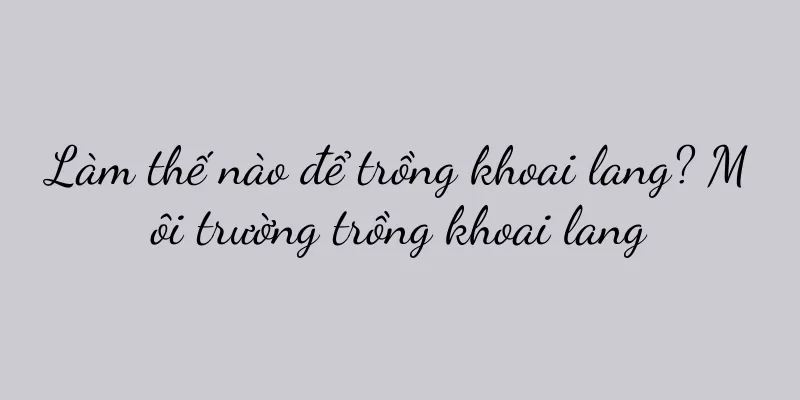 Làm thế nào để trồng khoai lang? Môi trường trồng khoai lang