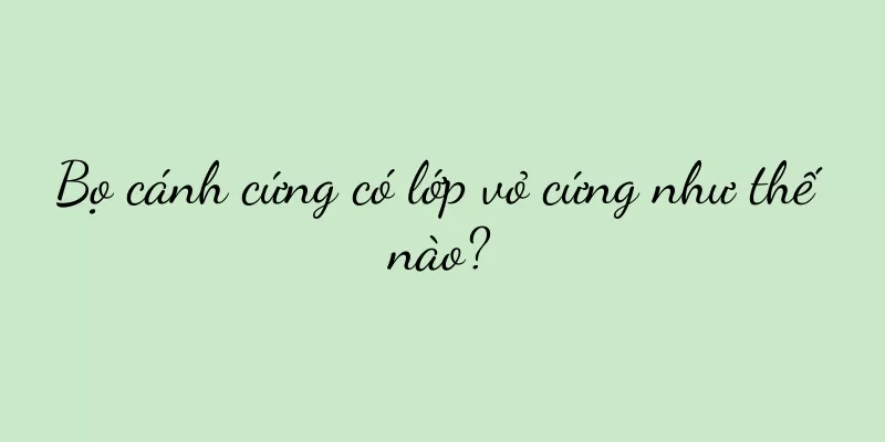 Bọ cánh cứng có lớp vỏ cứng như thế nào?