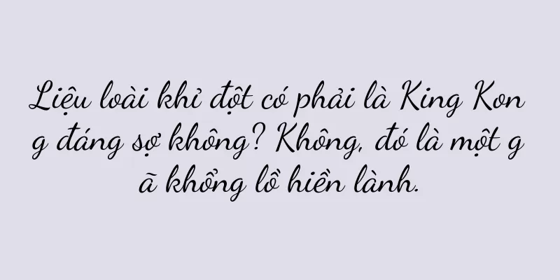 Liệu loài khỉ đột có phải là King Kong đáng sợ không? Không, đó là một gã khổng lồ hiền lành.