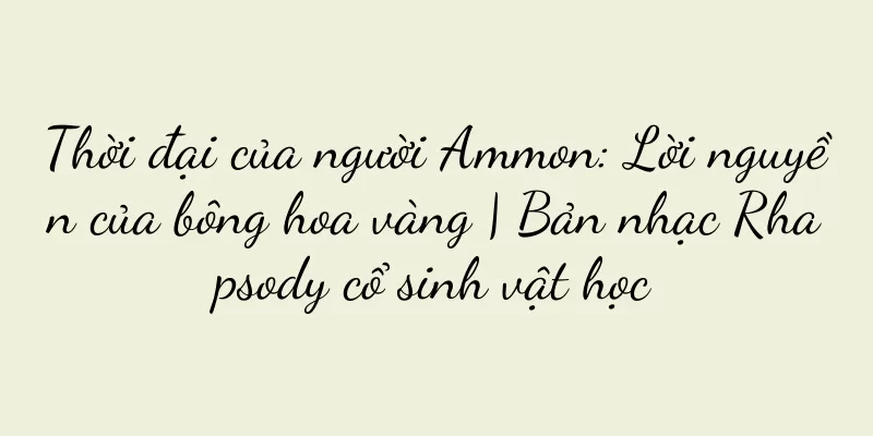 Thời đại của người Ammon: Lời nguyền của bông hoa vàng | Bản nhạc Rhapsody cổ sinh vật học
