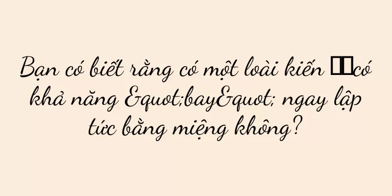 Bạn có biết rằng có một loài kiến ​​có khả năng "bay" ngay lập tức bằng miệng không?