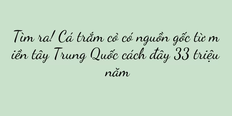 Tìm ra! Cá trắm cỏ có nguồn gốc từ miền tây Trung Quốc cách đây 33 triệu năm