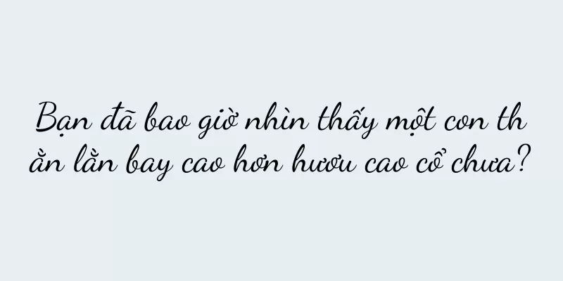 Bạn đã bao giờ nhìn thấy một con thằn lằn bay cao hơn hươu cao cổ chưa?