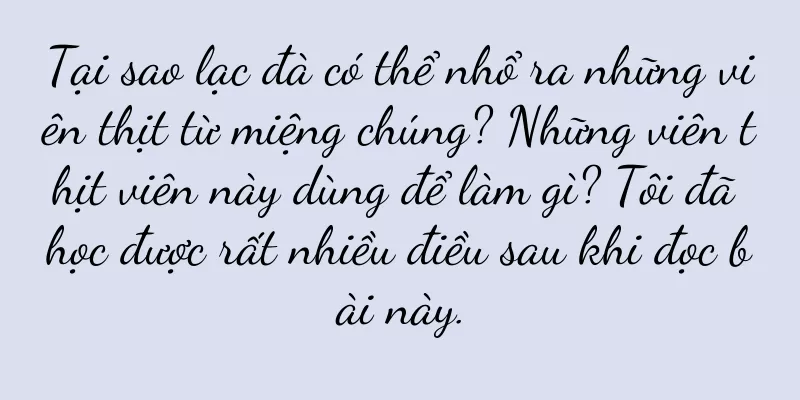 Tại sao lạc đà có thể nhổ ra những viên thịt từ miệng chúng? Những viên thịt viên này dùng để làm gì? Tôi đã học được rất nhiều điều sau khi đọc bài này.