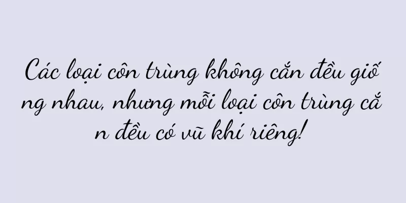 Các loại côn trùng không cắn đều giống nhau, nhưng mỗi loại côn trùng cắn đều có vũ khí riêng!