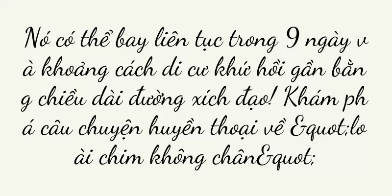 Nó có thể bay liên tục trong 9 ngày và khoảng cách di cư khứ hồi gần bằng chiều dài đường xích đạo! Khám phá câu chuyện huyền thoại về "loài chim không chân"