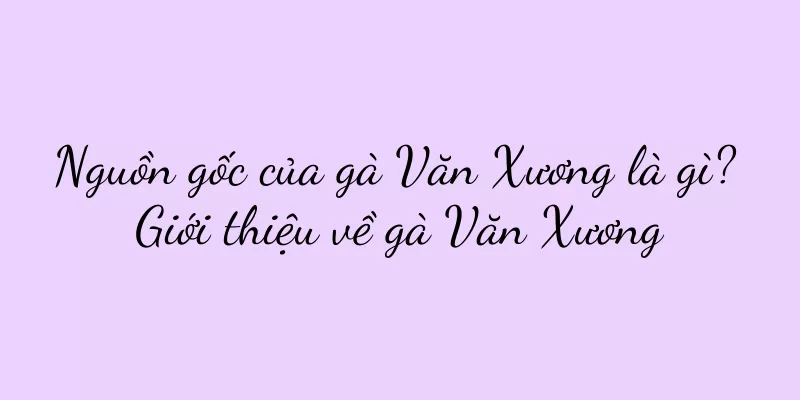 Nguồn gốc của gà Văn Xương là gì? Giới thiệu về gà Văn Xương
