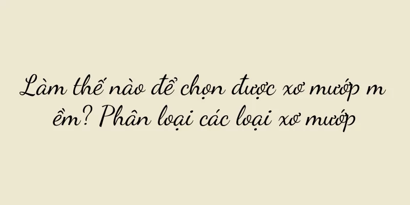 Làm thế nào để chọn được xơ mướp mềm? Phân loại các loại xơ mướp