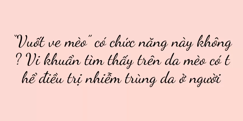 “Vuốt ve mèo” có chức năng này không? Vi khuẩn tìm thấy trên da mèo có thể điều trị nhiễm trùng da ở người