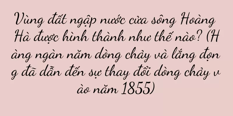 Vùng đất ngập nước cửa sông Hoàng Hà được hình thành như thế nào? (Hàng ngàn năm dòng chảy và lắng đọng đã dẫn đến sự thay đổi dòng chảy vào năm 1855)