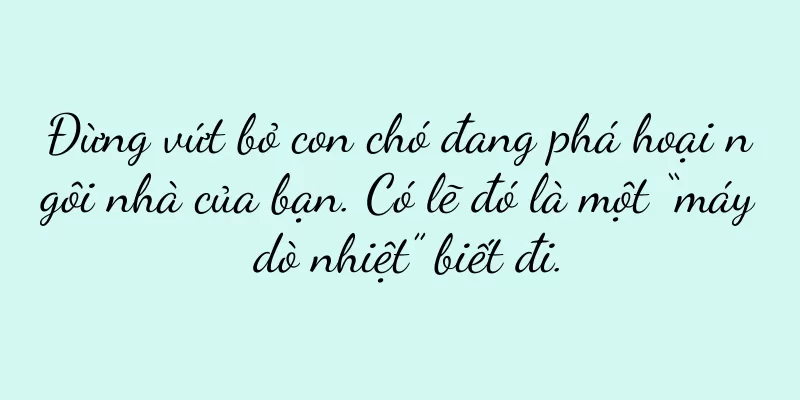 Đừng vứt bỏ con chó đang phá hoại ngôi nhà của bạn. Có lẽ đó là một “máy dò nhiệt” biết đi.