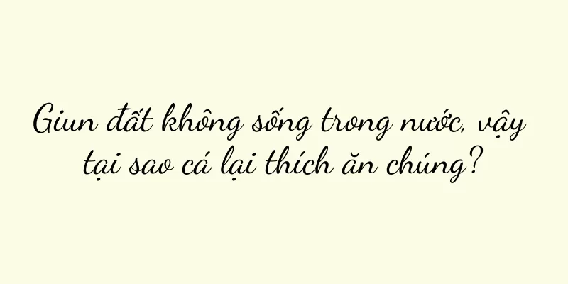 Giun đất không sống trong nước, vậy tại sao cá lại thích ăn chúng?