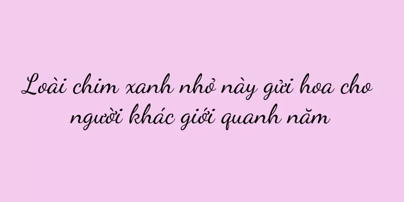 Loài chim xanh nhỏ này gửi hoa cho người khác giới quanh năm