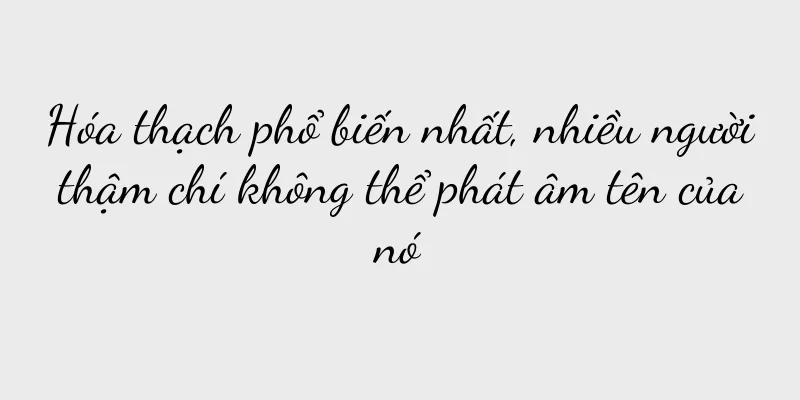 Hóa thạch phổ biến nhất, nhiều người thậm chí không thể phát âm tên của nó