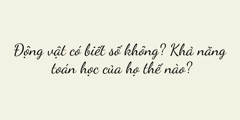 Động vật có biết số không? Khả năng toán học của họ thế nào?
