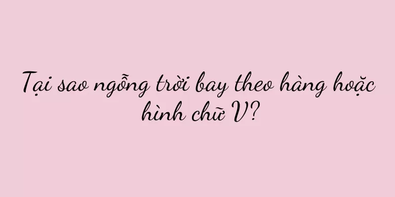 Tại sao ngỗng trời bay theo hàng hoặc hình chữ V?